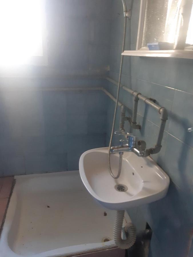 Apartman Novi Sad - Apartment Novi Sad Sremska Kamenica Buitenkant foto